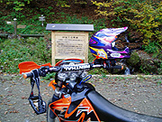 �o�R������